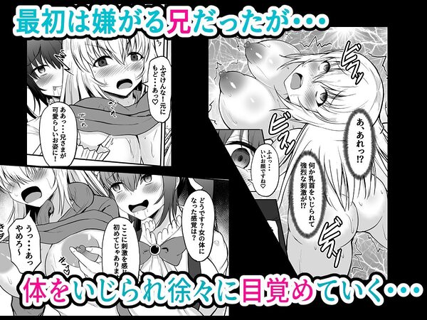 TS兄とフタナリ妹 妹のイチモツとペニスバンドで2本刺し 画像2