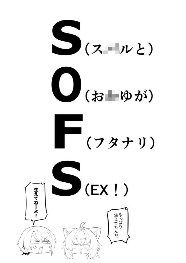 SOFS 画像5