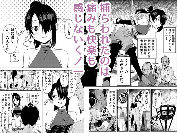 ふたなり化くノ一○問 〜○問耐性持ちくノ一 初めてのペニス責め〜 画像1